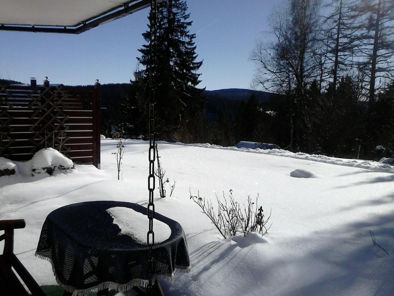 Sonnige-Waldruhe-Am-Skiberg Feldberg (Baden-Wurttemberg) Ngoại thất bức ảnh